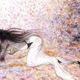 Illustration for article titled When Ai Final Fantasy/i Artist (And Neil Gaiman) Did Sci-Fi David Bowie